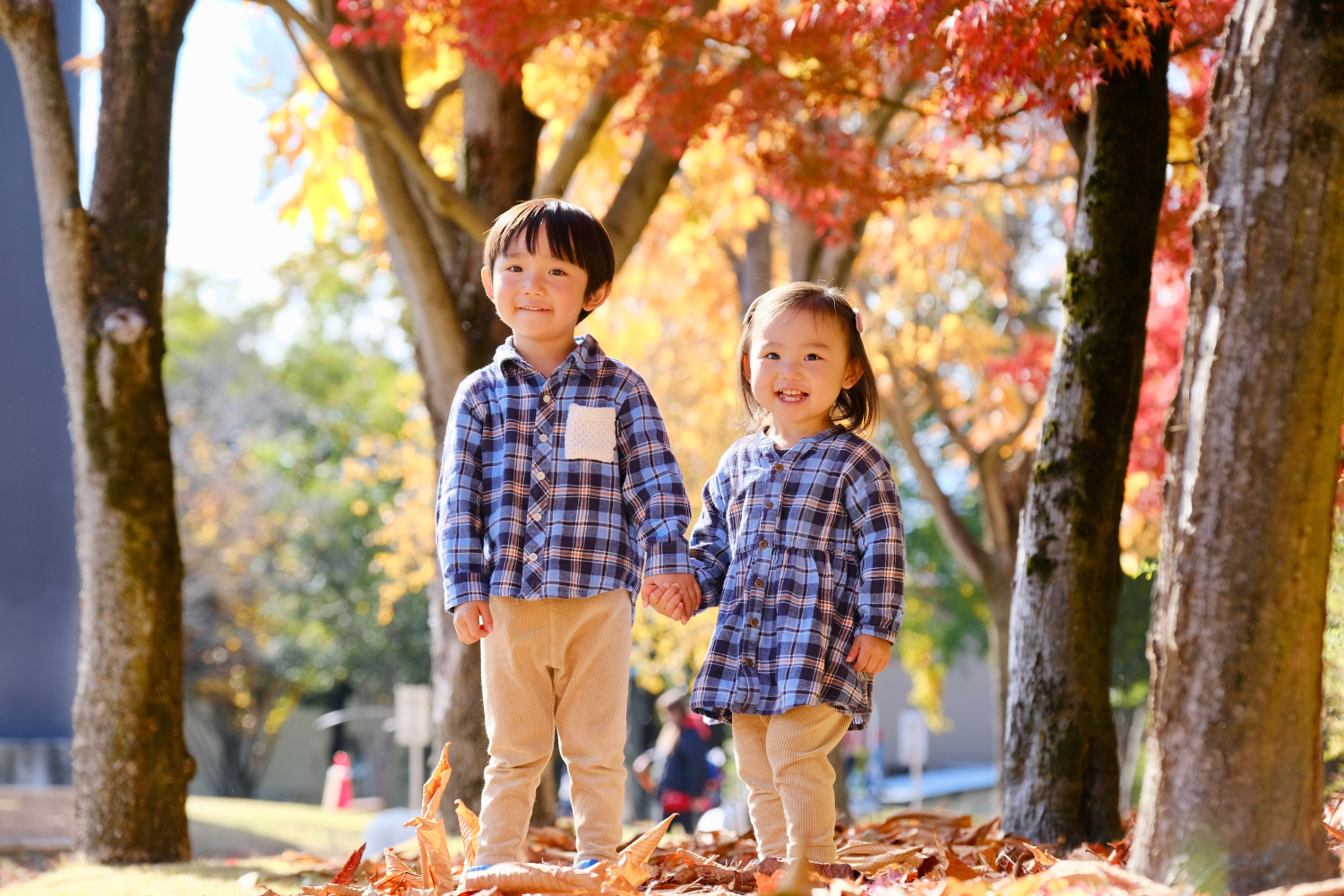 紅葉フォト